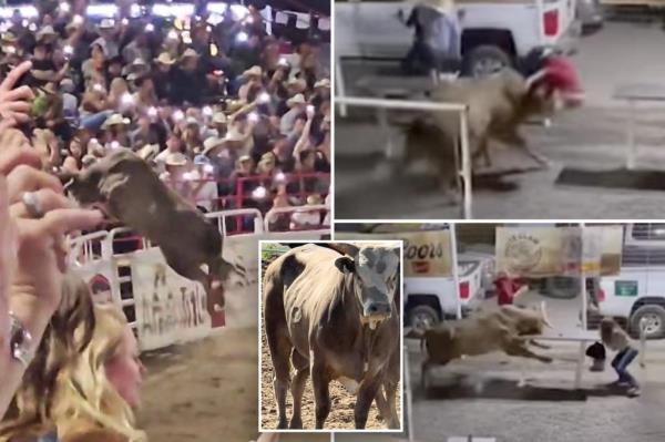 主人说，一头公牛在俄勒冈州的牛仔竞技会上跳过围栏，被迫退出比赛