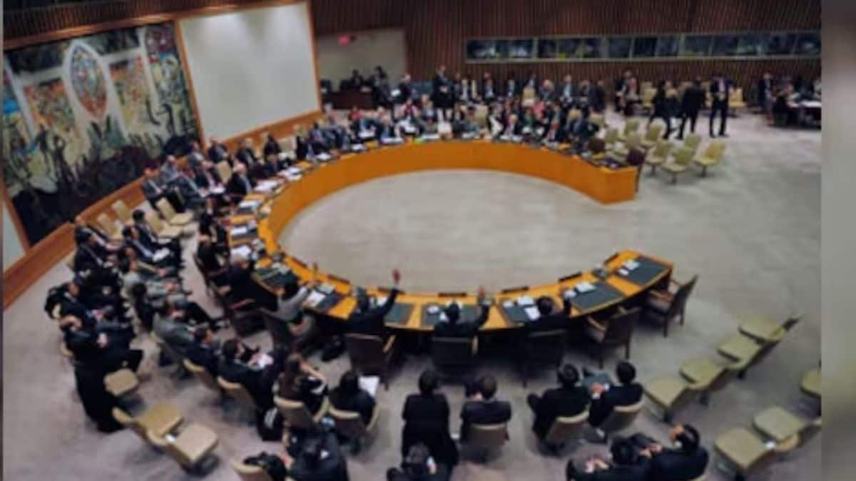 印度驳斥巴基斯坦在联合国安理会就克什米尔问题发表的“毫无根据”言论